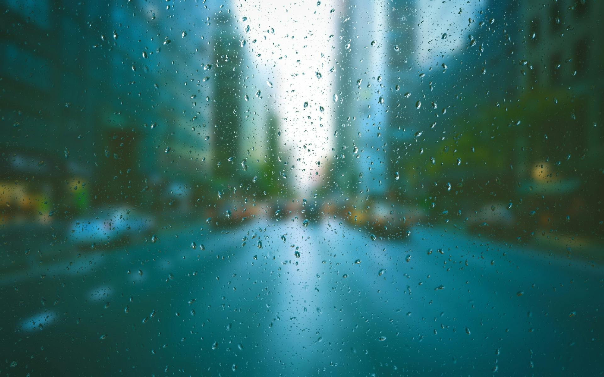Winter's Embrace: Experiencing Cape Town's Chilly Season
